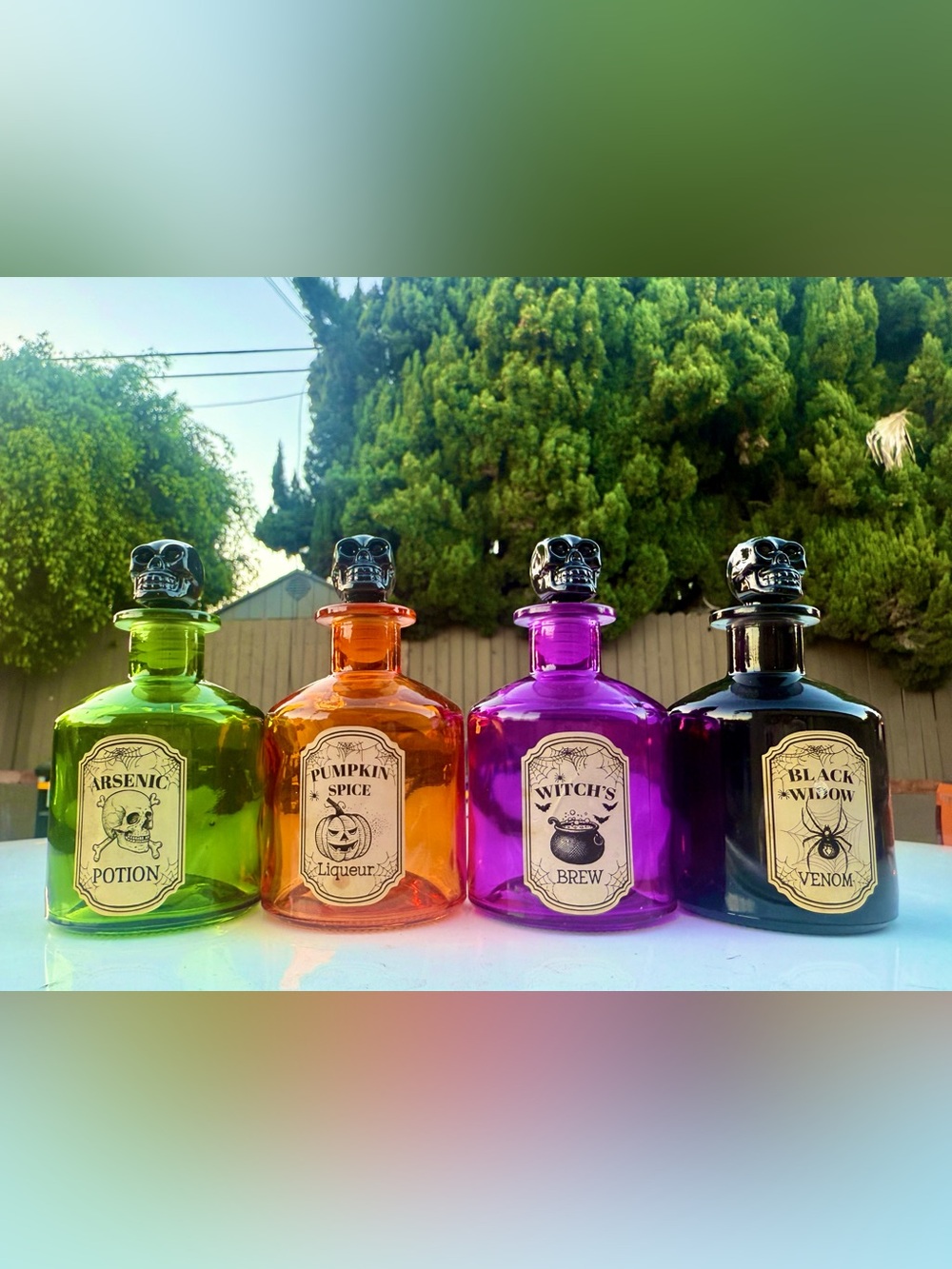 NWT SET OF 4 HALLOWEEN HOME DECOR POTION BOTTLES